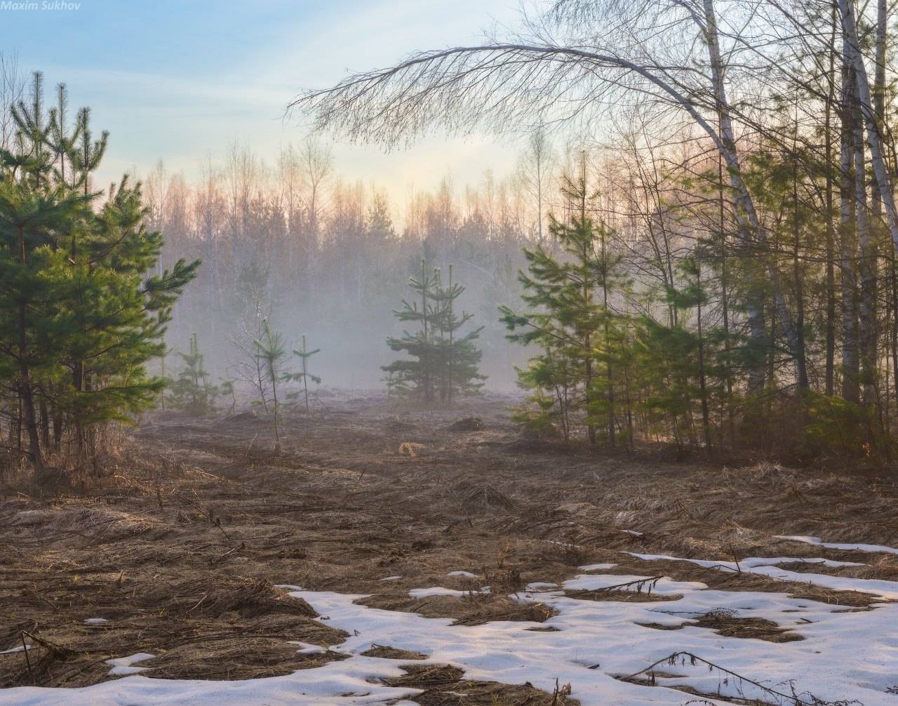 , Максим Сухов