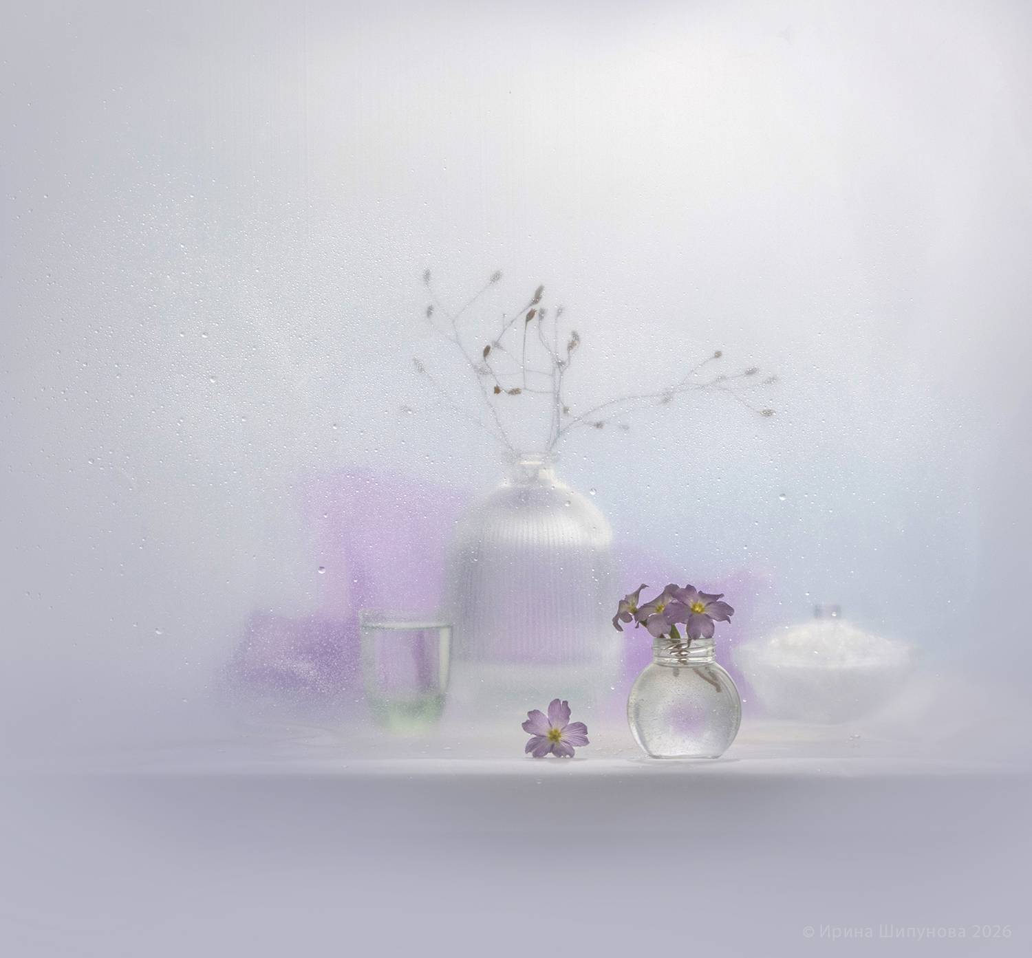 , Шипунова Ирина