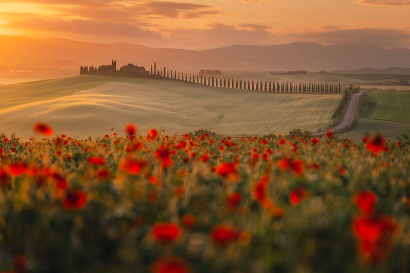 Toskania фото превью