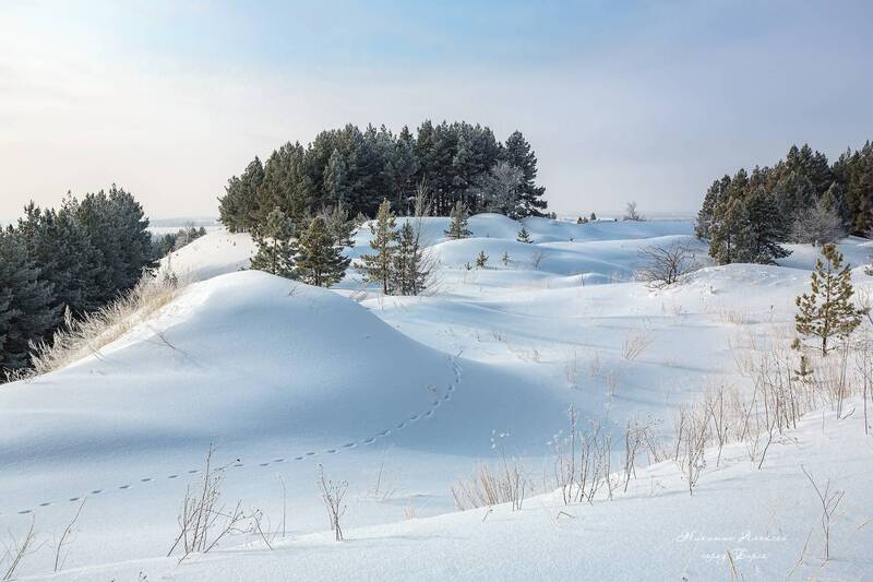 «По лисьему следу» фото превью