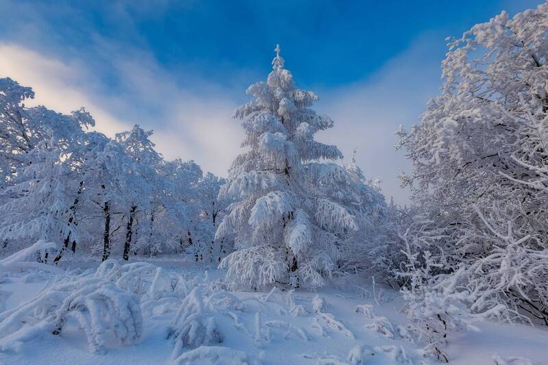 Зимней зимой... фото превью