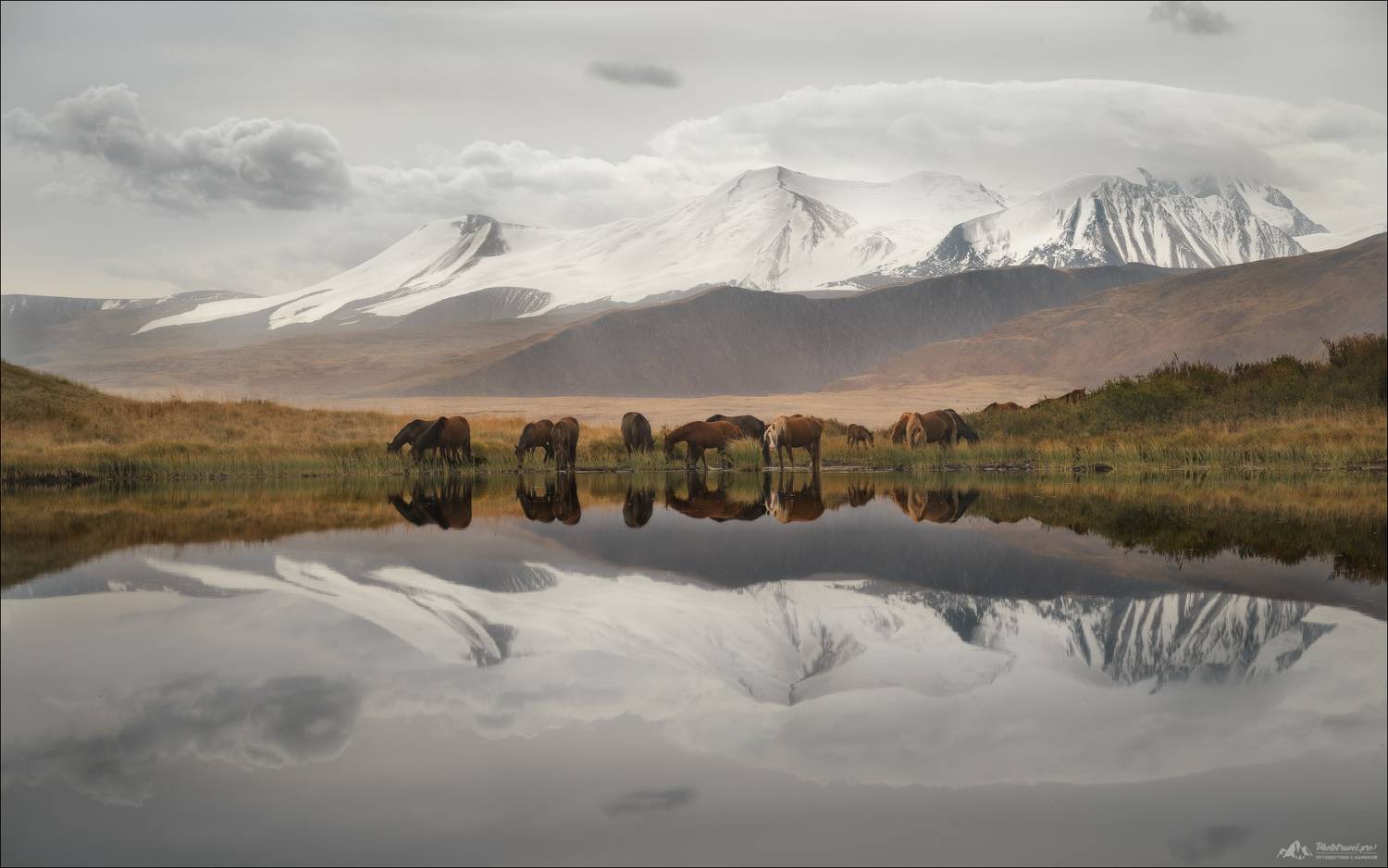 плато укок, зона покоя укок, фототур на алтай, фототур на плато укок, осенний фототур на алтай, слушай небеса, алтай фототур 2026, фототур Алтай 2026, золотая осень Алтай фототур, пейзажная съемка Горный Алтай, табын богдо ола, Таван-Богдо-Ула, Танну-Богд, Влад Соколовский