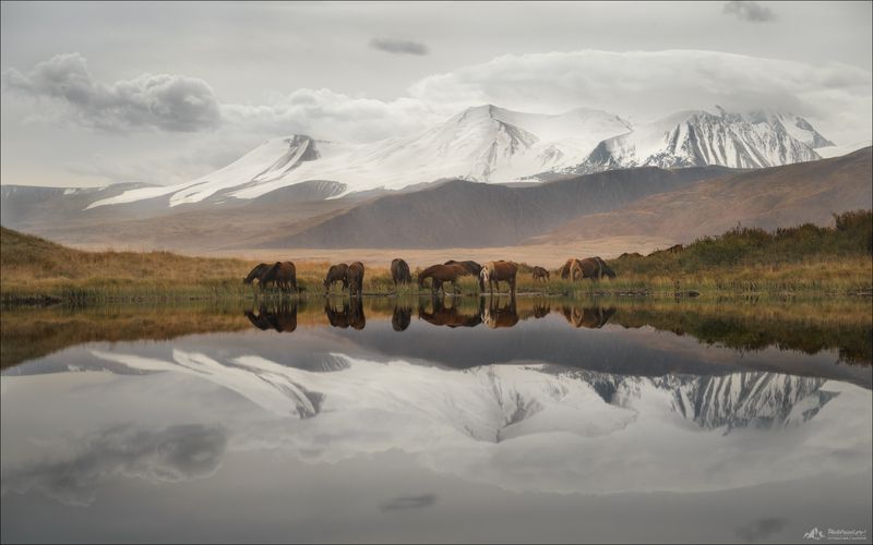 плато укок, зона покоя укок, фототур на алтай, фототур на плато укок, осенний фототур на алтай, слушай небеса, алтай фототур 2026, фототур Алтай 2026, золотая осень Алтай фототур, пейзажная съемка Горный Алтай, табын богдо ола, Таван-Богдо-Ула, Танну-Богд Зона покоя фото превью