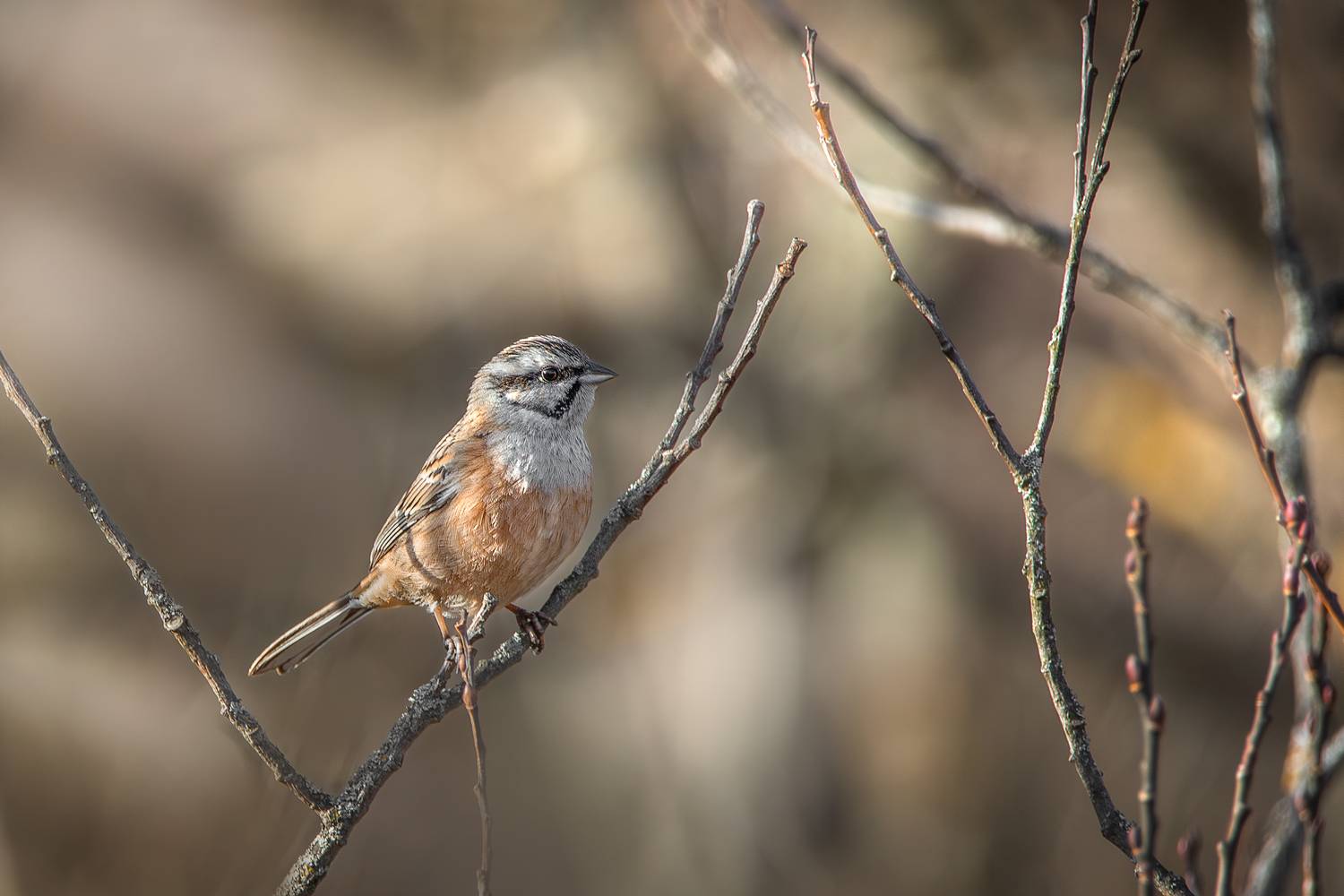 , Ожиганова Людмила