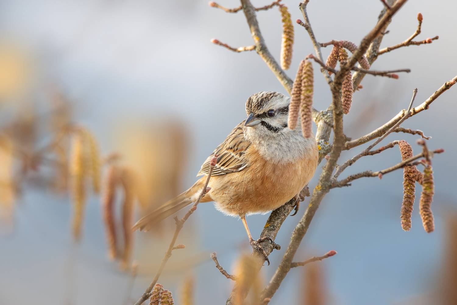, Ожиганова Людмила