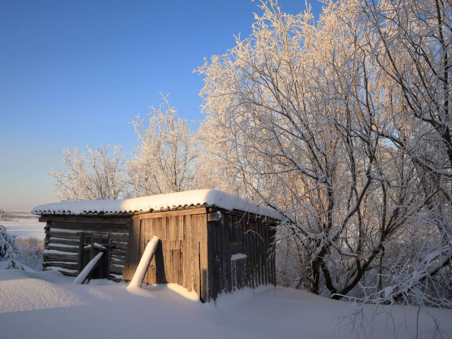 , Александр Титов