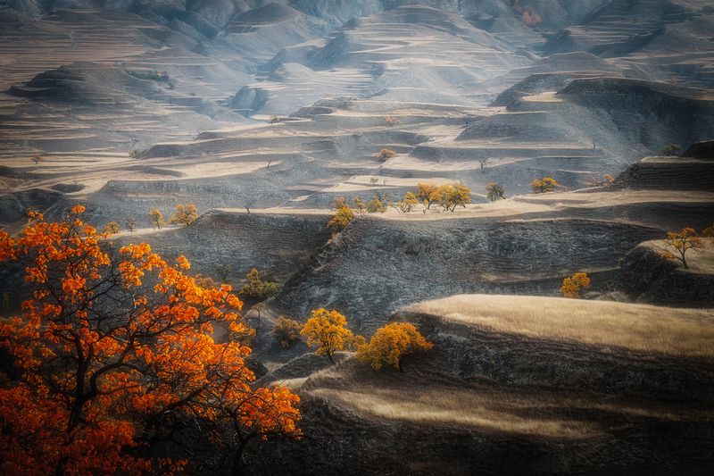 Дагестанский букет фото превью