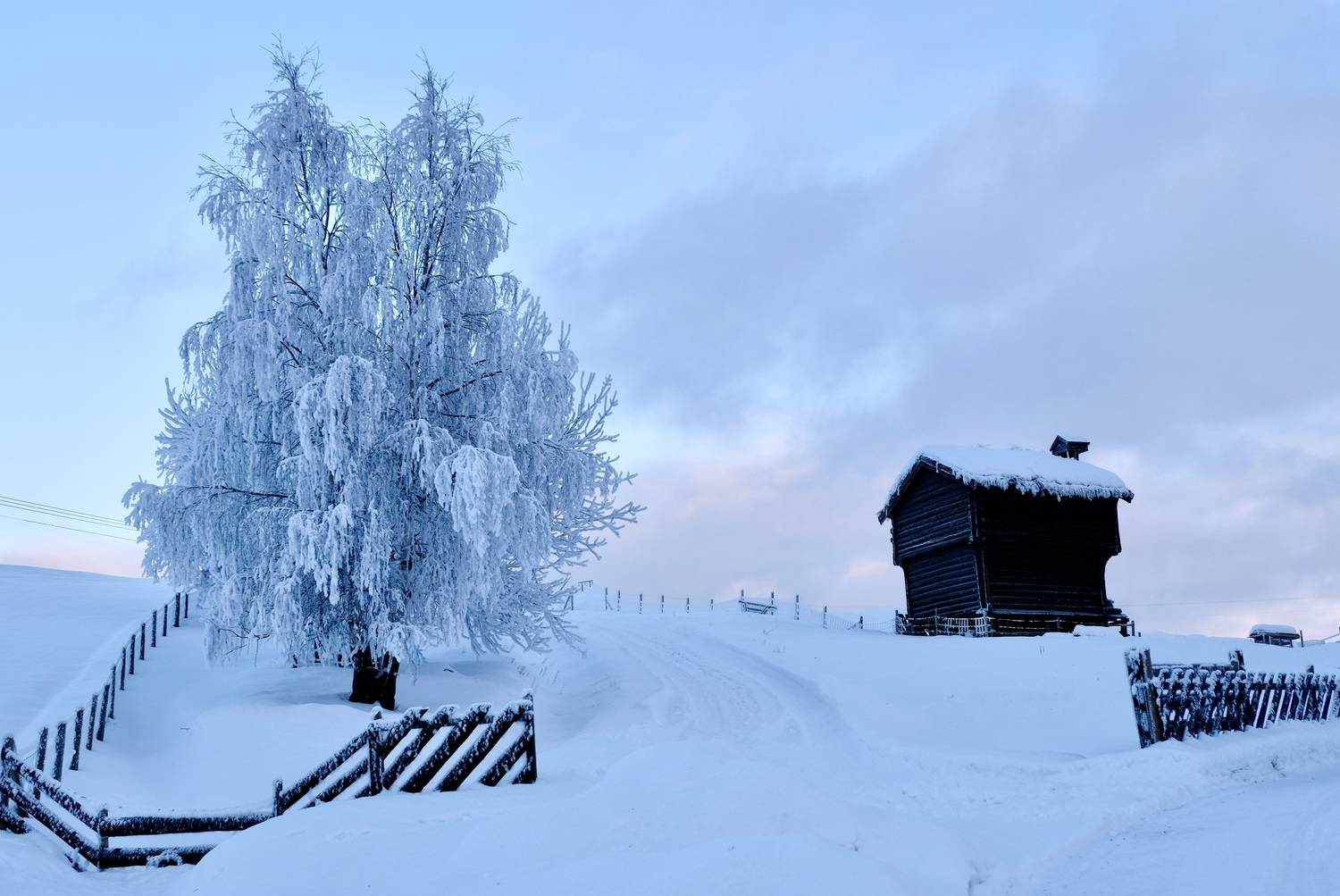 Landscapes, Winter, Frost, Norway, Snow, House, Tree, Povarova Ree Svetlana