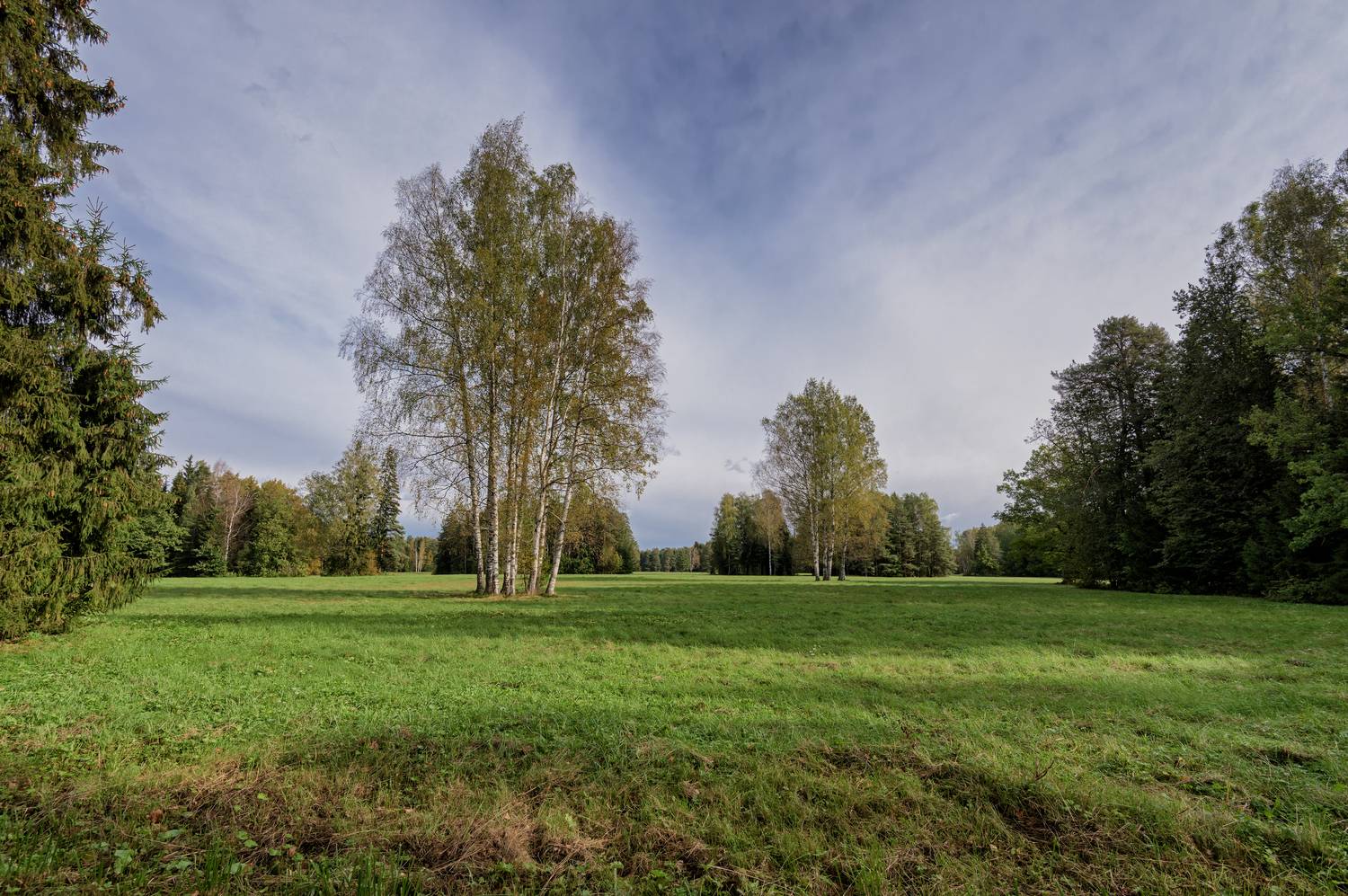санкт-петербург., павловск., павловский, па, Тихонов Дмитрий
