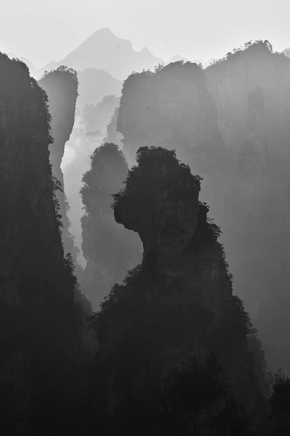 , Наталья Лабодина