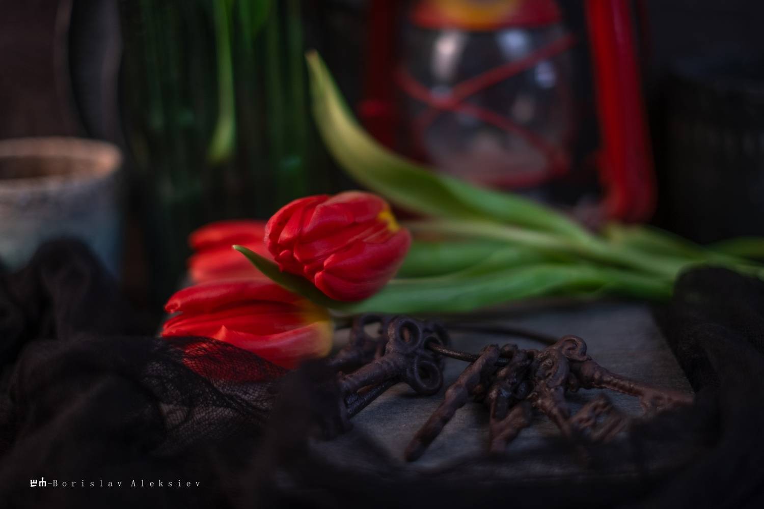 red, tulip, dark, light, black, Алексиев Борислав