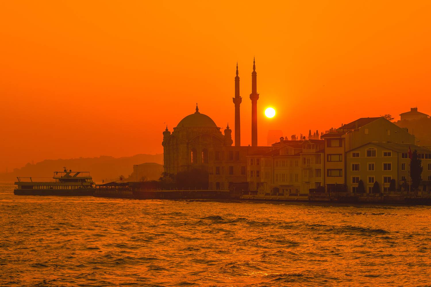 , Трепольский Дмитрий