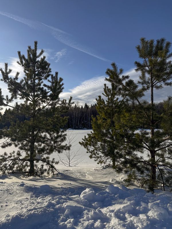 солнечный февраль фото превью