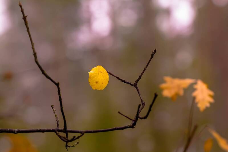 .... фото превью