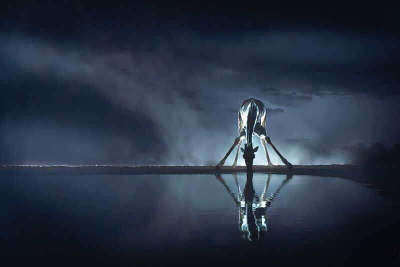 Кения, Шомполе  фото превью