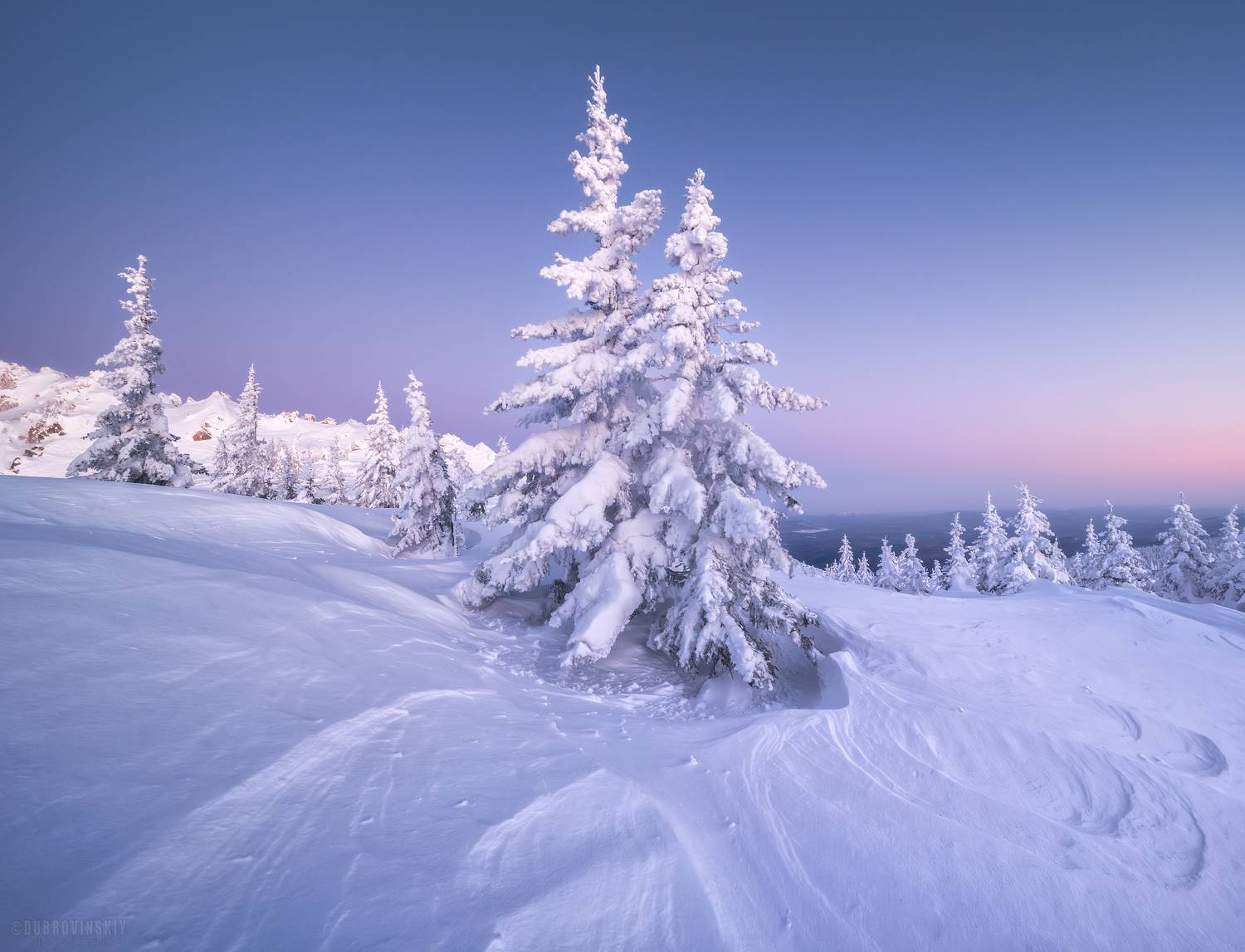 таганай, южный урал, зима, елки, снег, мороз, Дубровинский Михаил