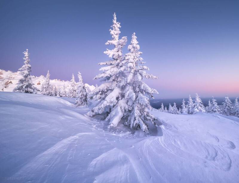 таганай, южный урал, зима, елки, снег, мороз *** фото превью