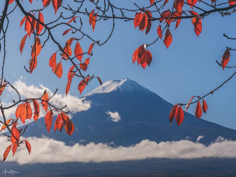 Lake Kawaguchi фото превью