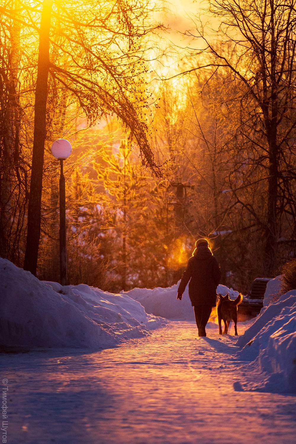 валдай, Тимофей Шутов