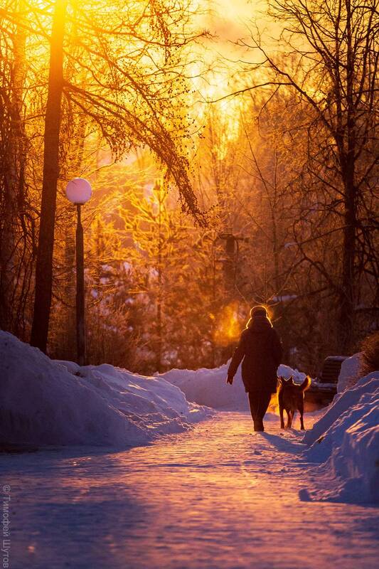 валдай Утренний свет в парке у Музея колоколов фото превью