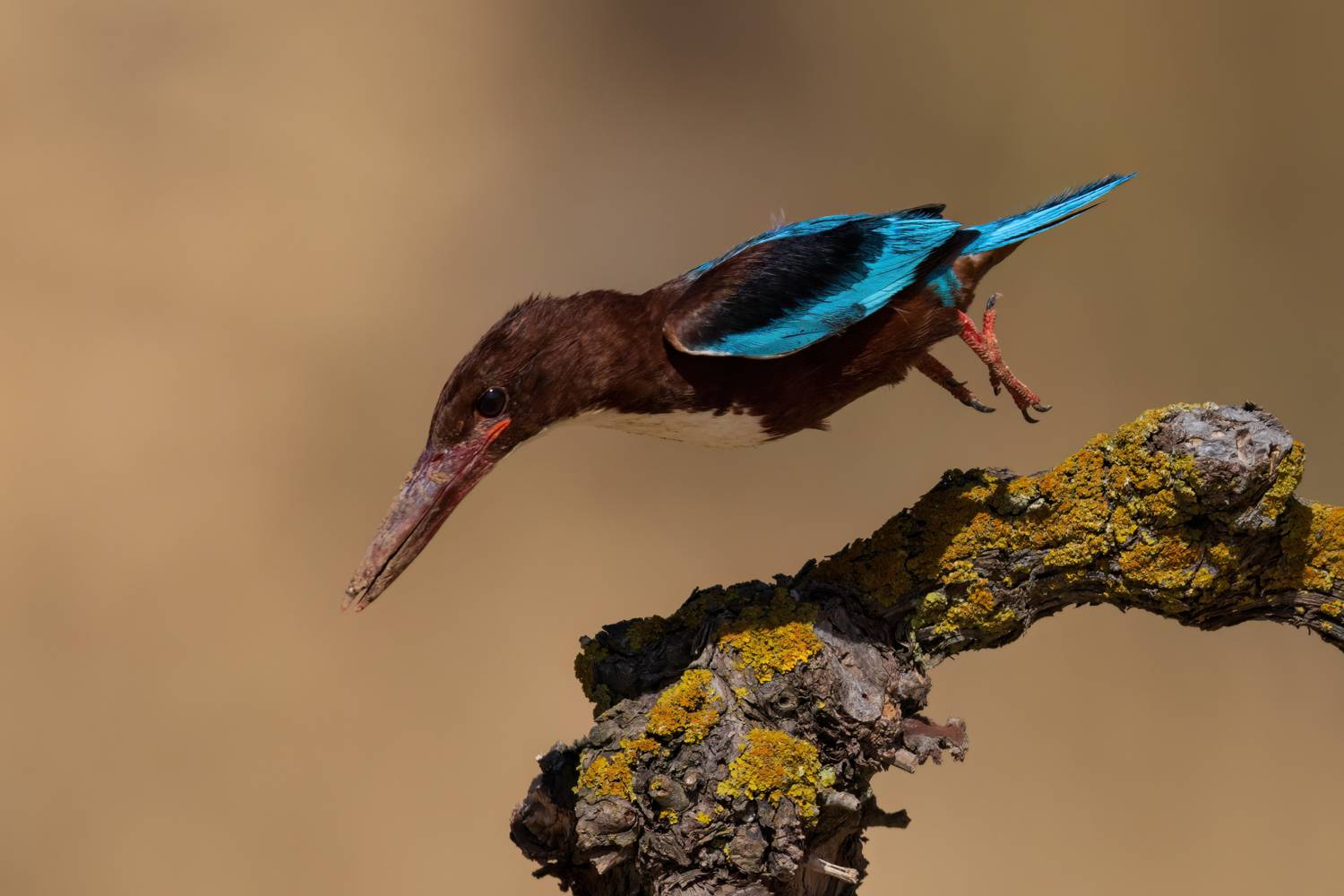 , Фруман Евгений