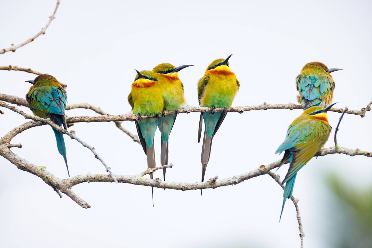 , ssmirs Сергей