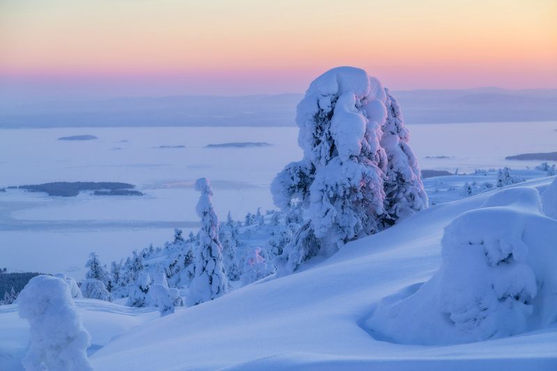 Нежные краски зимы фото превью
