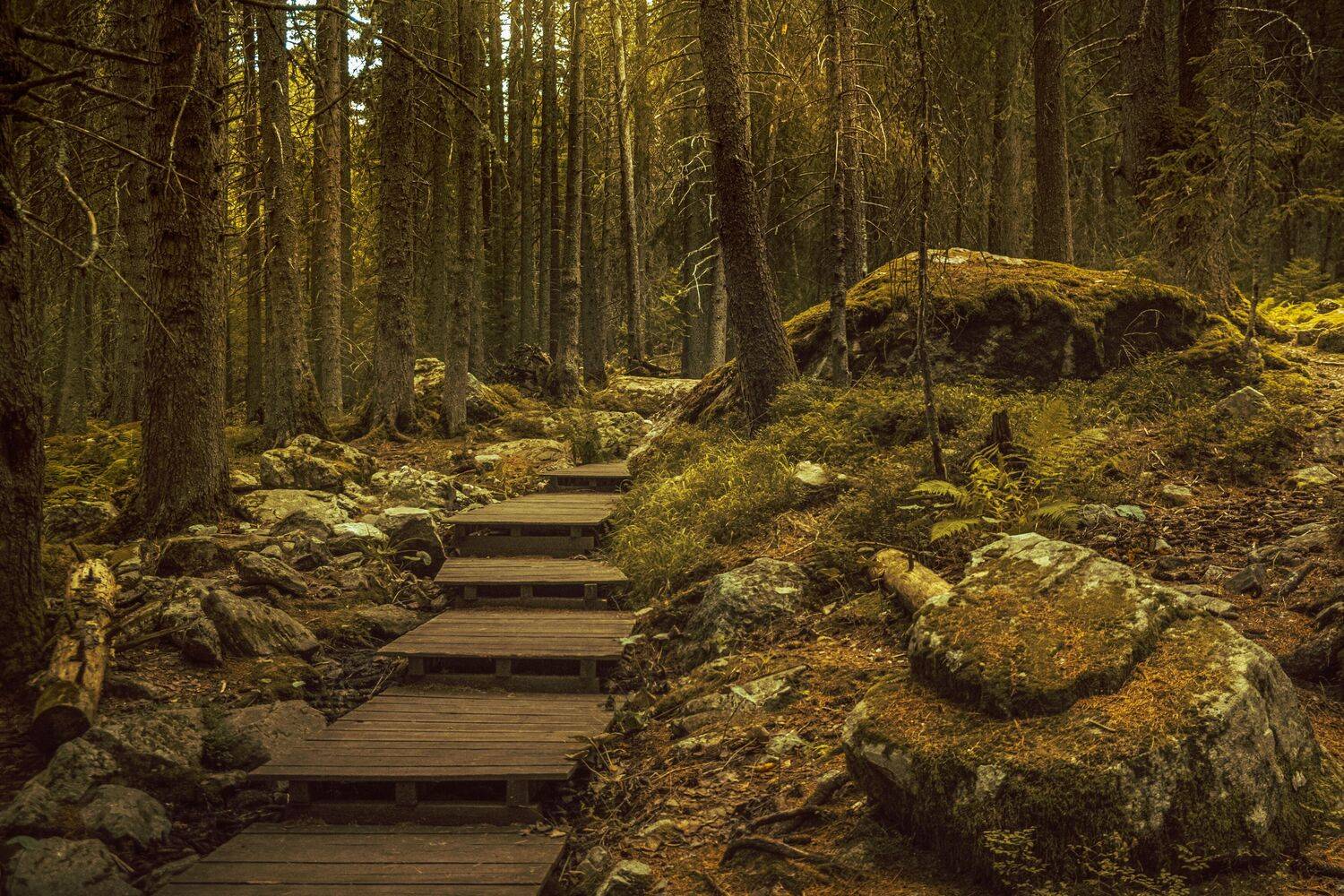 , Николов Андриян