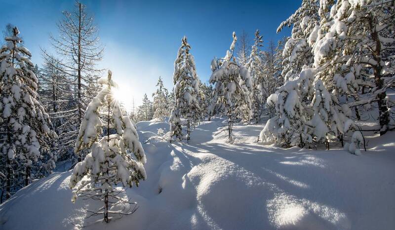 Сверкающий полдень фото превью