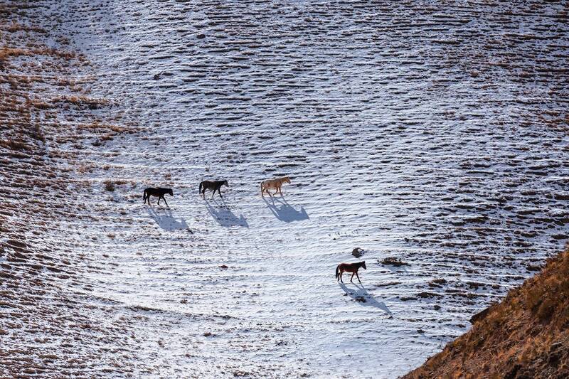 кыргызстан Февральский минимализм фото превью