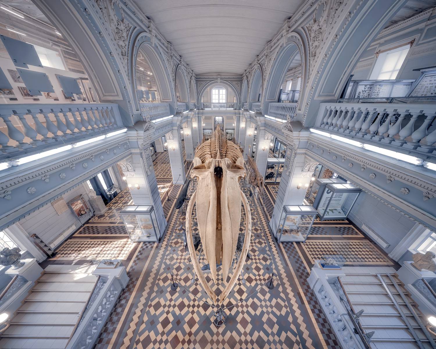 петербург, музей, Мазурева Анастасия