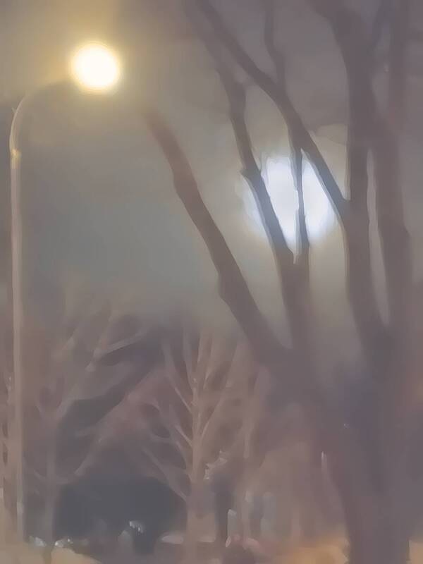 Напрасно лунный свет фонарь затмить пытался фото превью