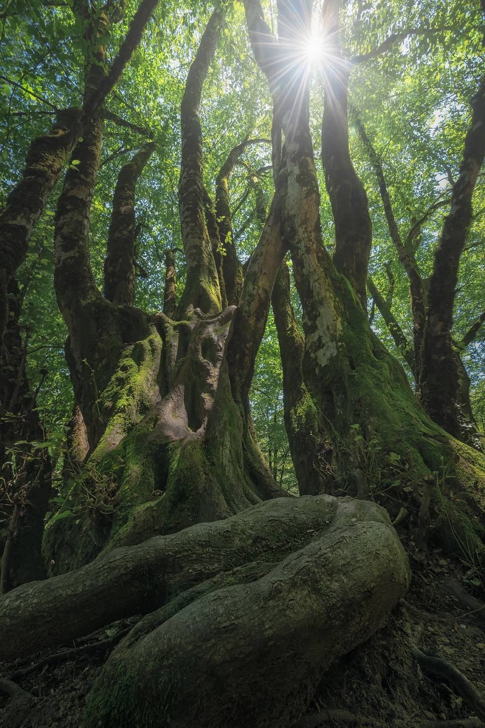 , Смольский Евгений