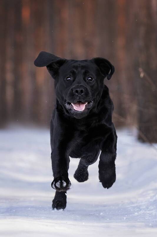 Убегая от зимы фото превью