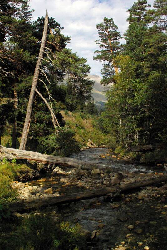 архыз Осенний этюд ... фото превью