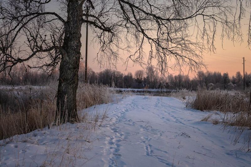 Saule mostas фото превью