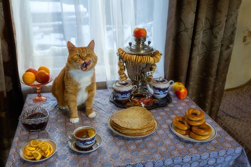 Филя провожает масленицу. фото превью