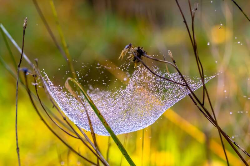 .... фото превью