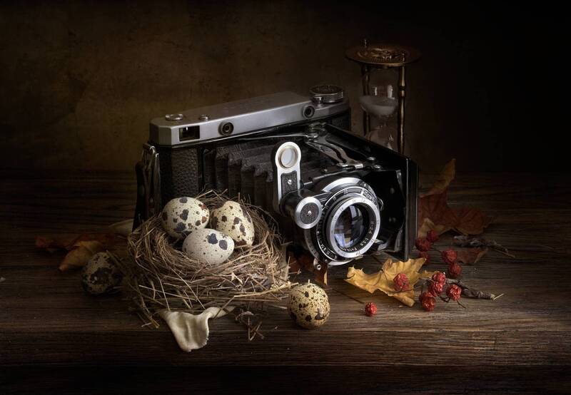 Вот тебе и Вылетит птичка, вылетит птичка... фото превью