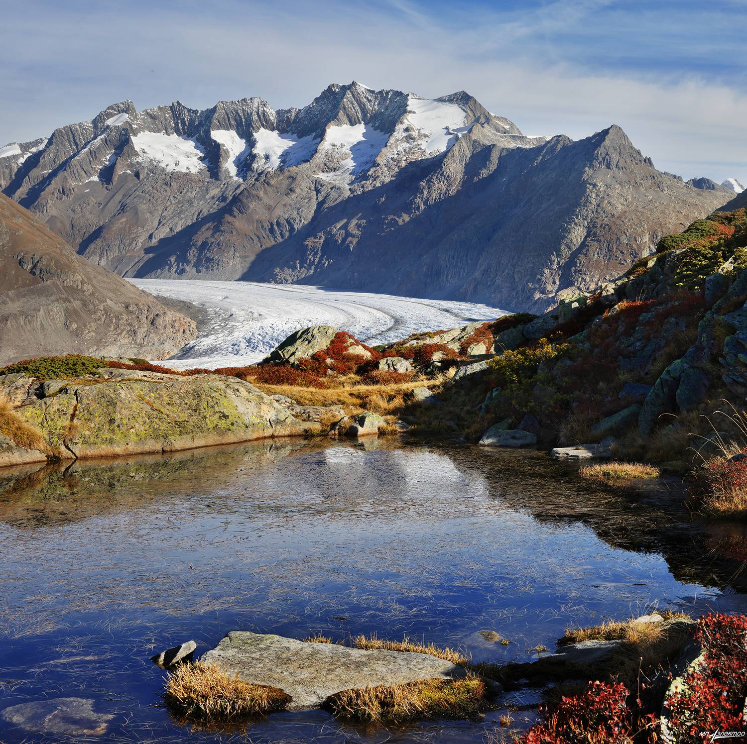 swiss, Матвеев Николай