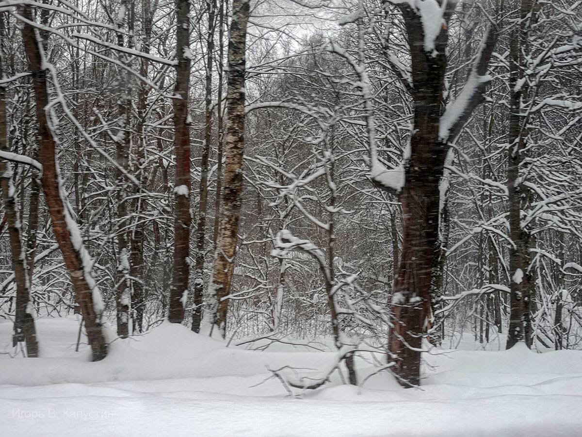 , Капустин Игорь