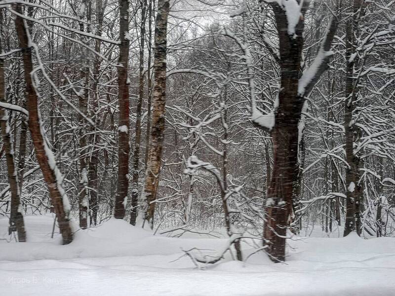 *** фото превью