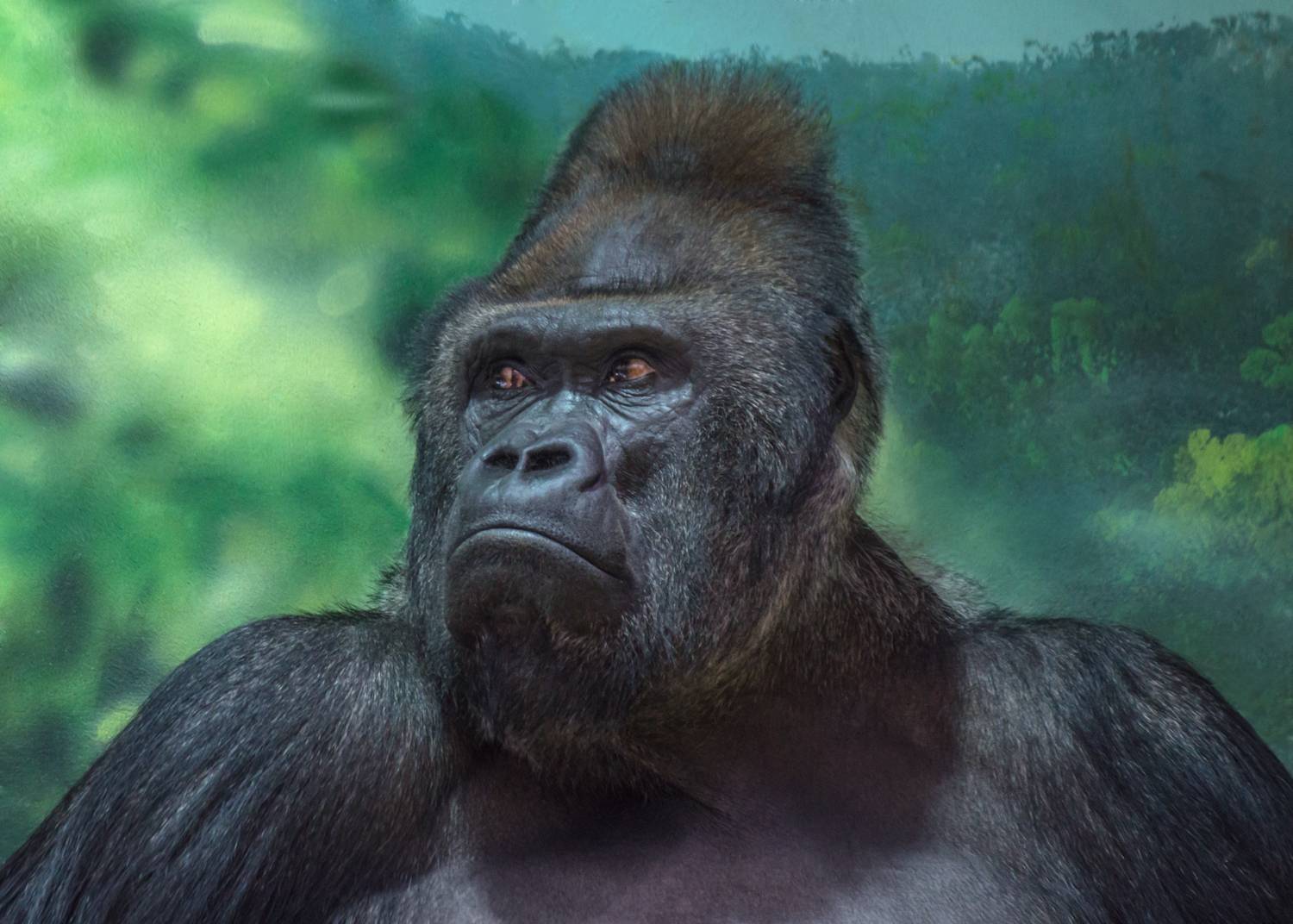 , Алексеев Сергей