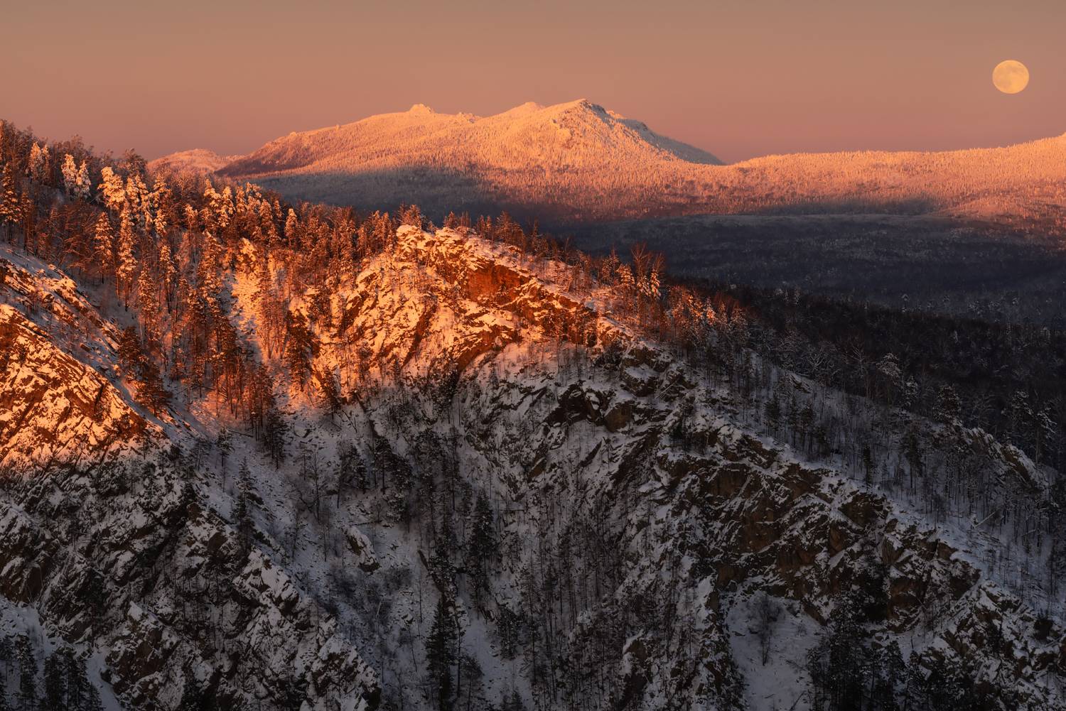 , Алексей Проняхин