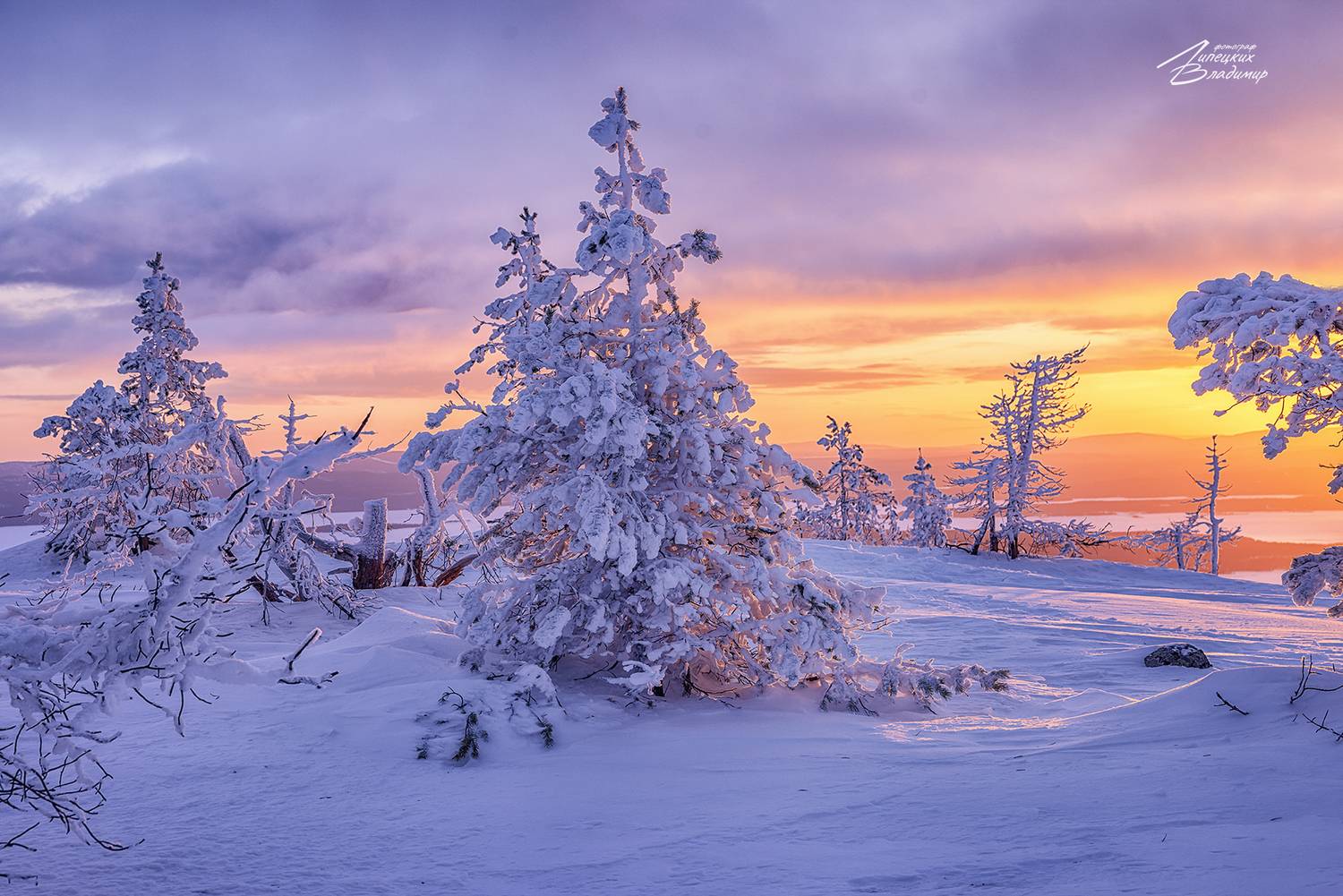 кольский, Липецких Владимир