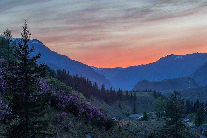 алтай, маральник, закат Закатный Алтай. фото превью