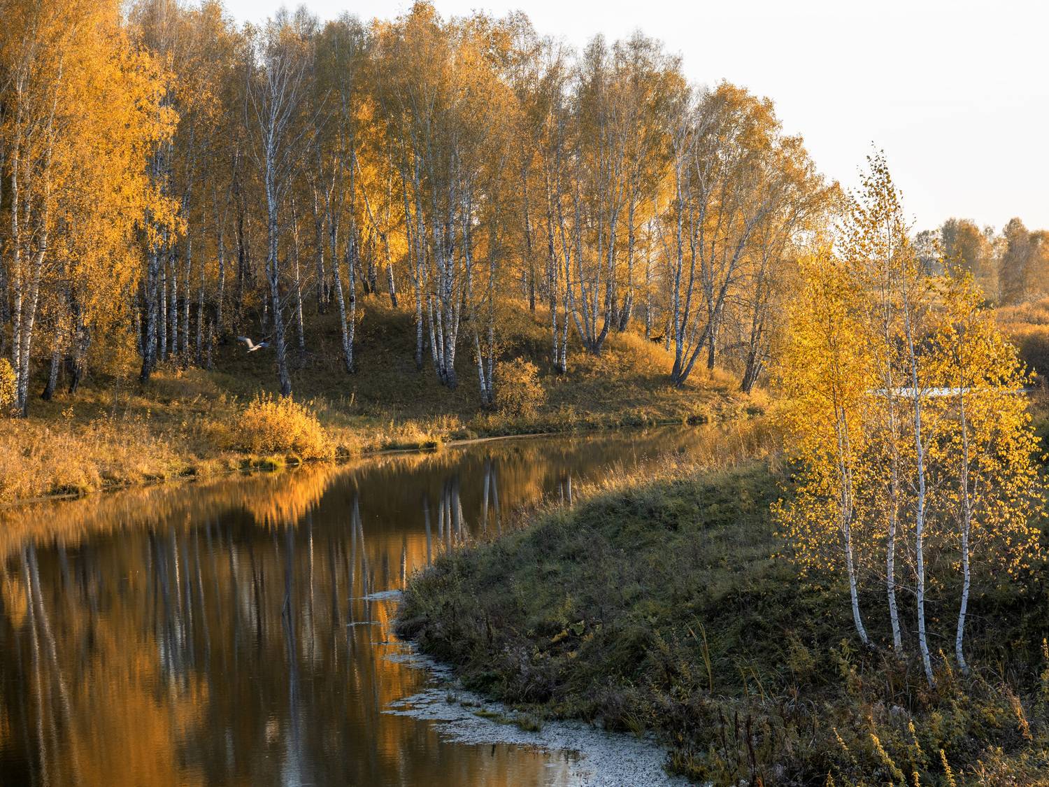 , Андрей Хаймин
