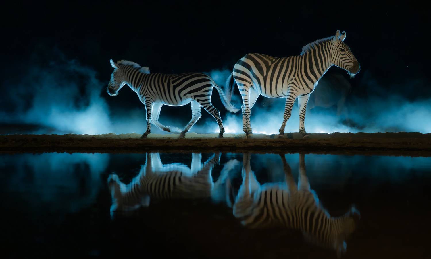 Кения, Шомполе, Сулоев Алексей