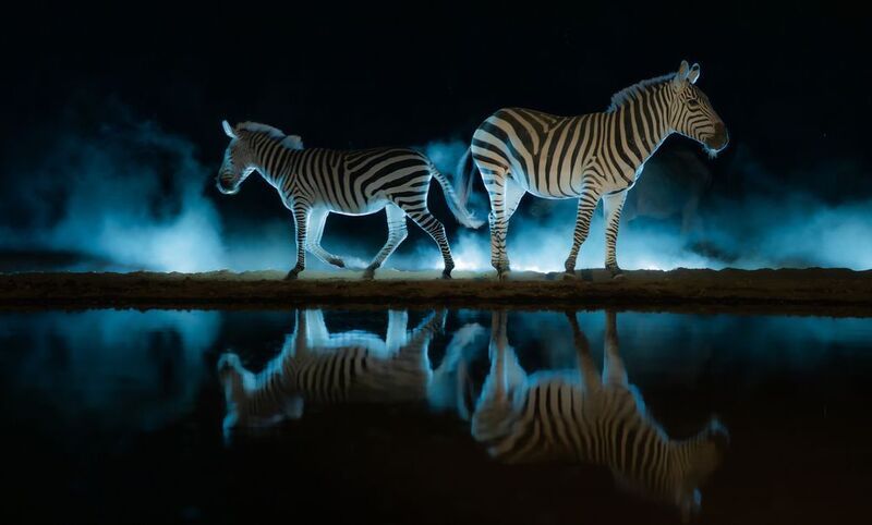 Кения, Шомполе  фото превью