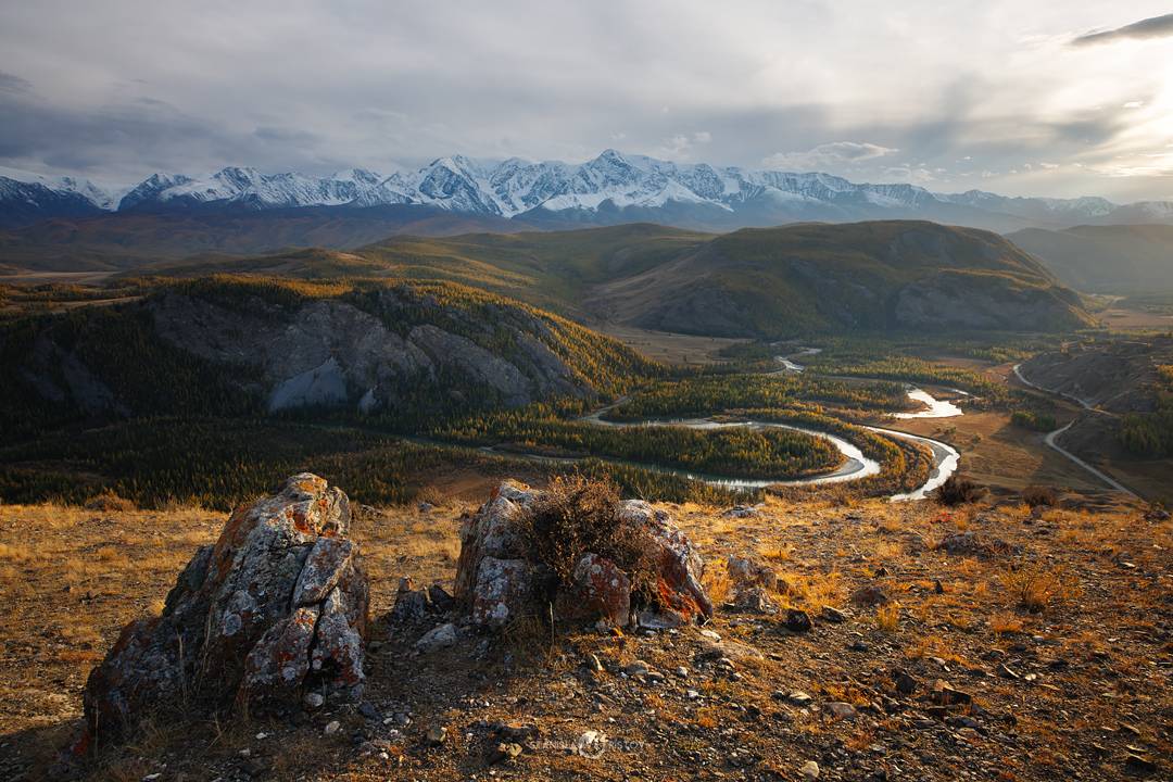 , Станислав Аристов